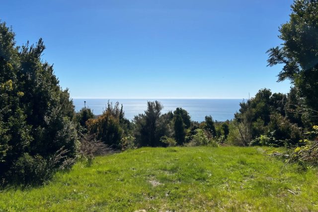 VISTA AL MAR CAMINO A CURIÑANCO